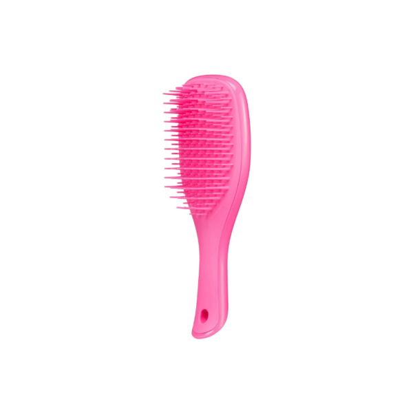 Tangle-Teezer-Wet-Detangling-Hairbrush-Pink-Sherbet-Mini